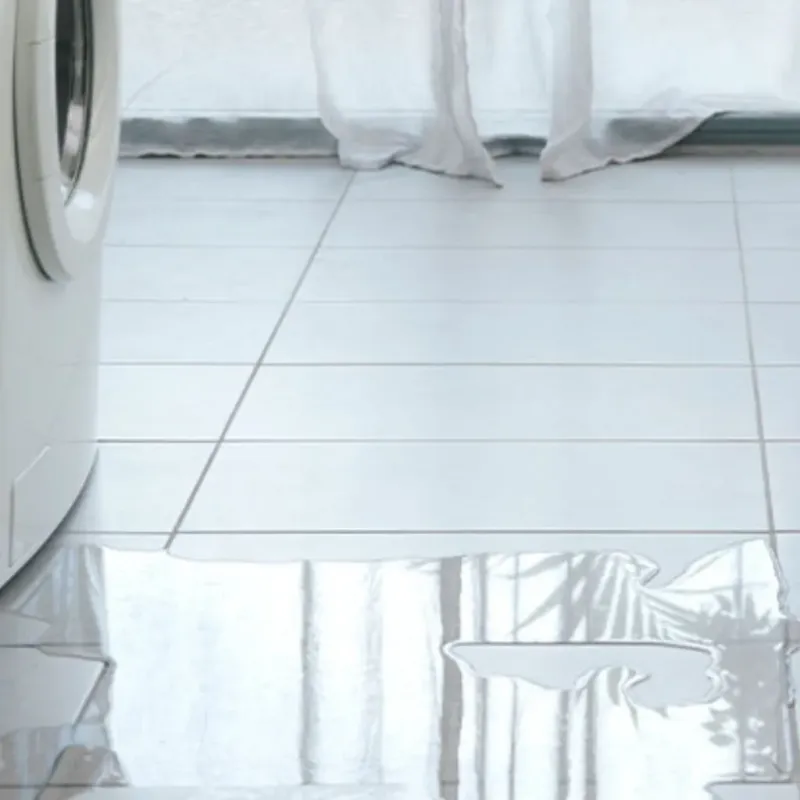 Appliance Leak Cleanup in Gretna, VA