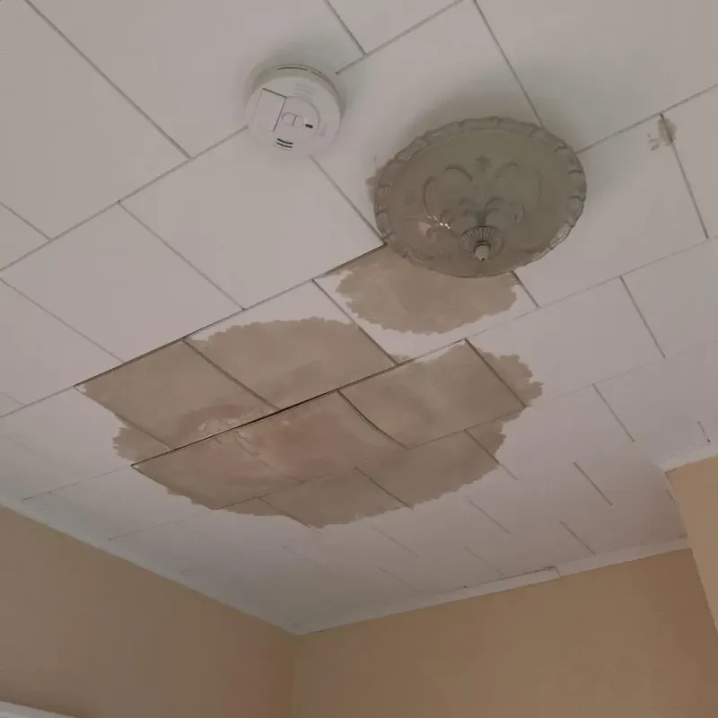 Ceiling Water Damage Repair in Gretna, VA