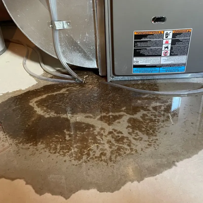 Pipe Burst and Leak Restoration in Gretna, VA