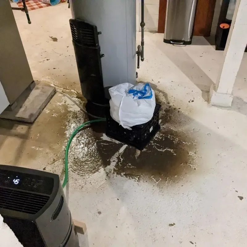Sewage Backup Cleanup Service in Gretna, VA